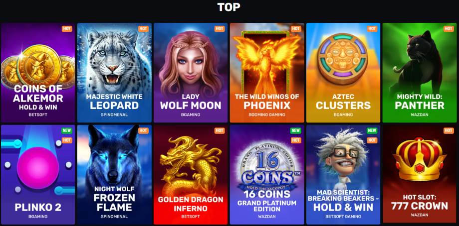 betamo casino spellen