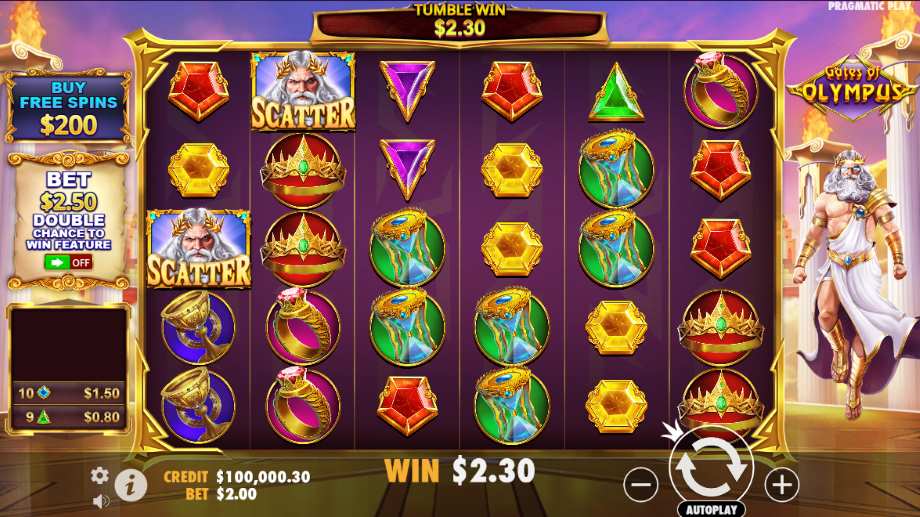 gates of olympus slot functies