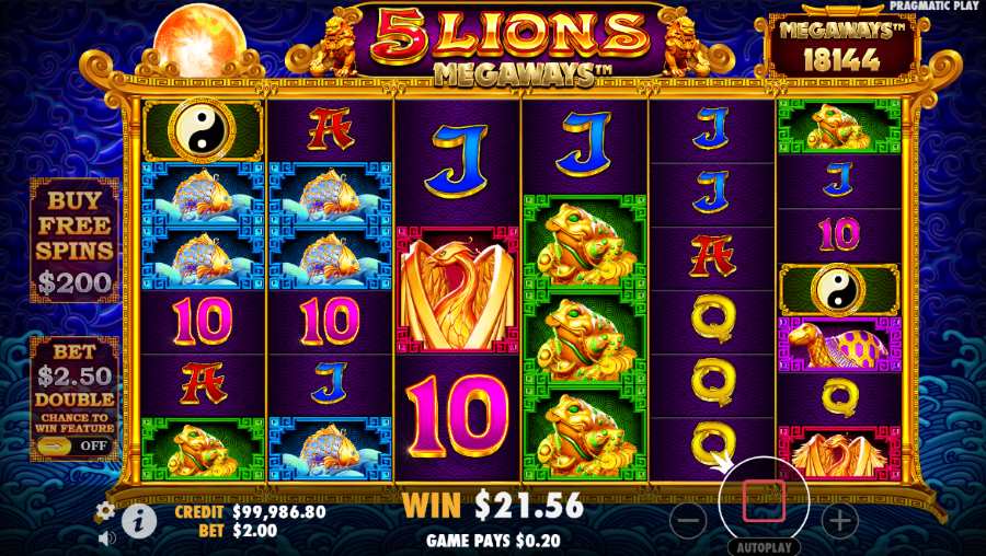 gebruikerservaring met 5 lions megaways slot